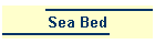 Sea Bed